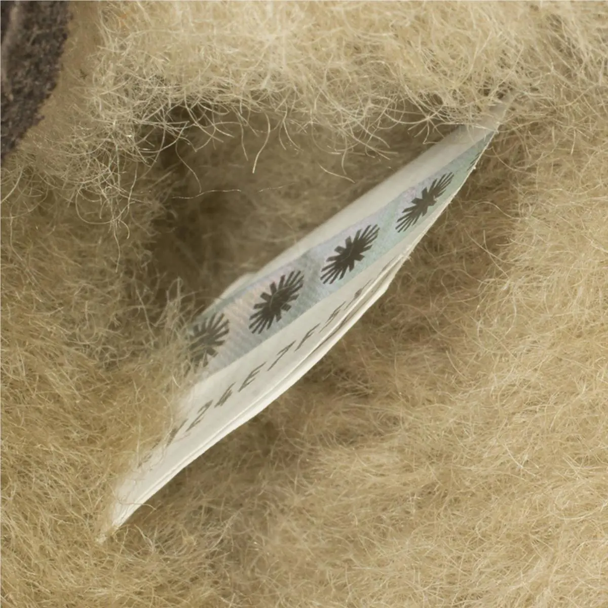 UGG shoes - Tan (UPC: 194715108974) 3