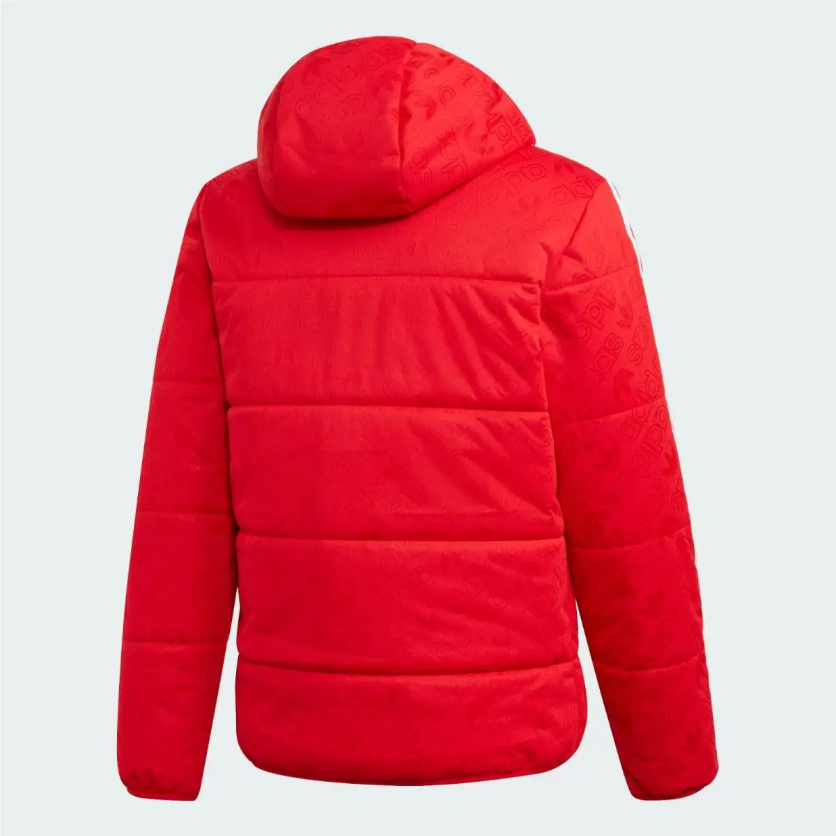 Adidas clothing - ED5831-55.06 - ED5831-5506 - Scarlet 10