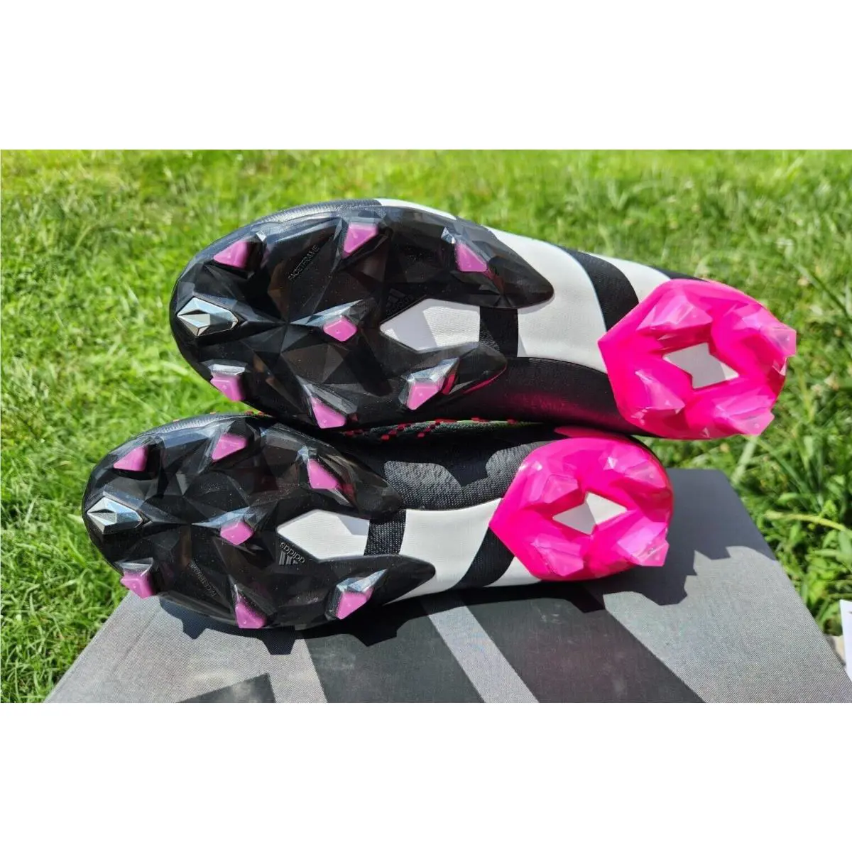 Adidas shoes - adidas Predator - Predator - GW4569 - Pink 5