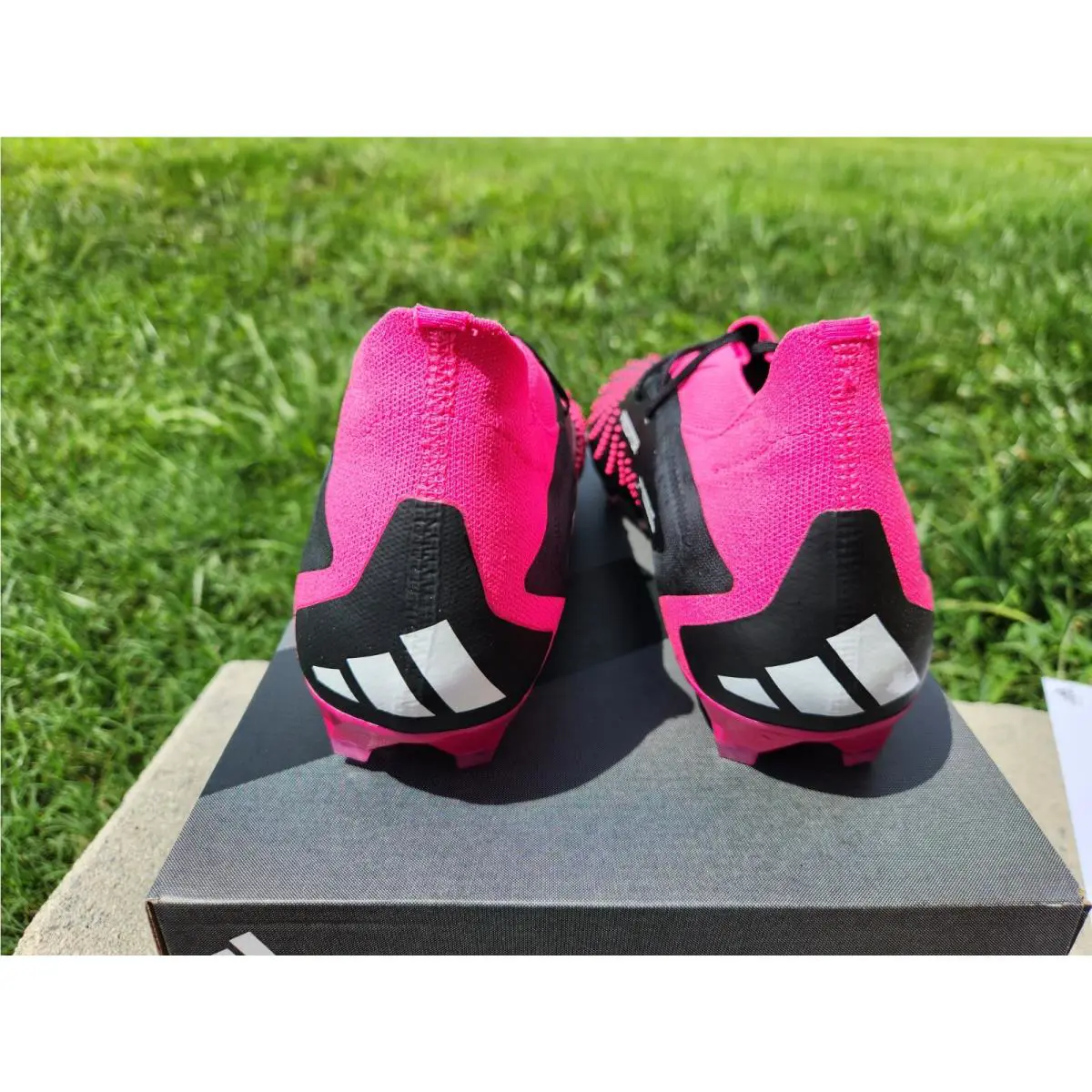 Adidas shoes - adidas Predator - Predator - GW4569 - Pink 6