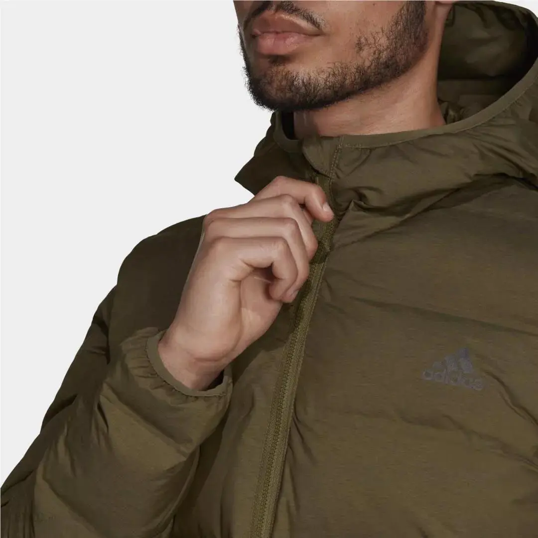 Adidas clothing - Focus Olive 1
