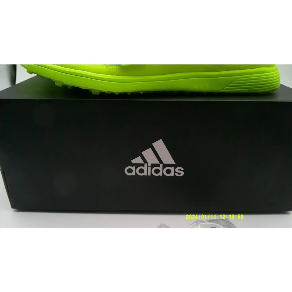 Adidas shoes - adidas AdiZero Triple Jump - AdiZero Triple Jump - FW2242 - Green 1