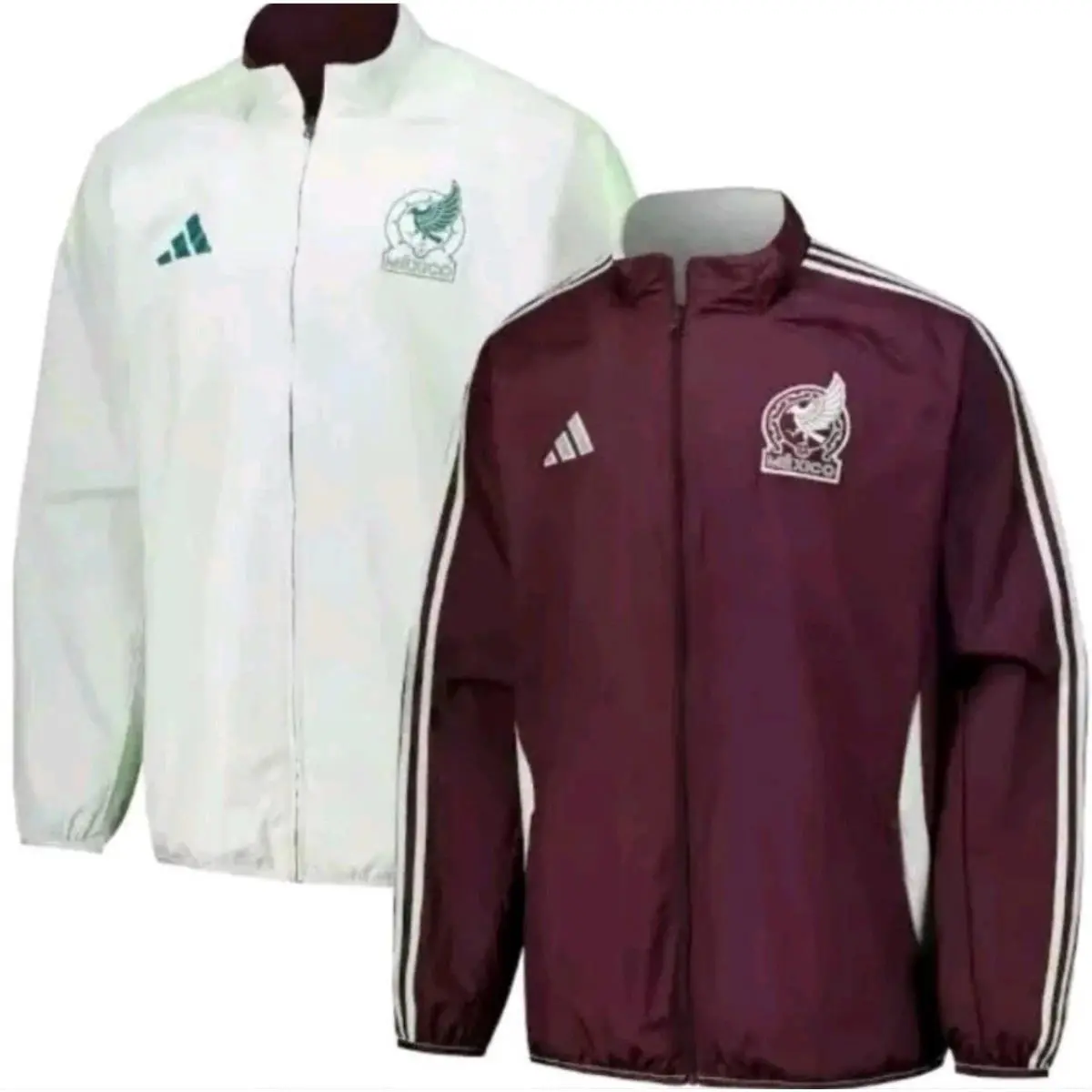 Adidas clothing - IW2922 - IW2922 - Dark Burgundy / Linen Green 6