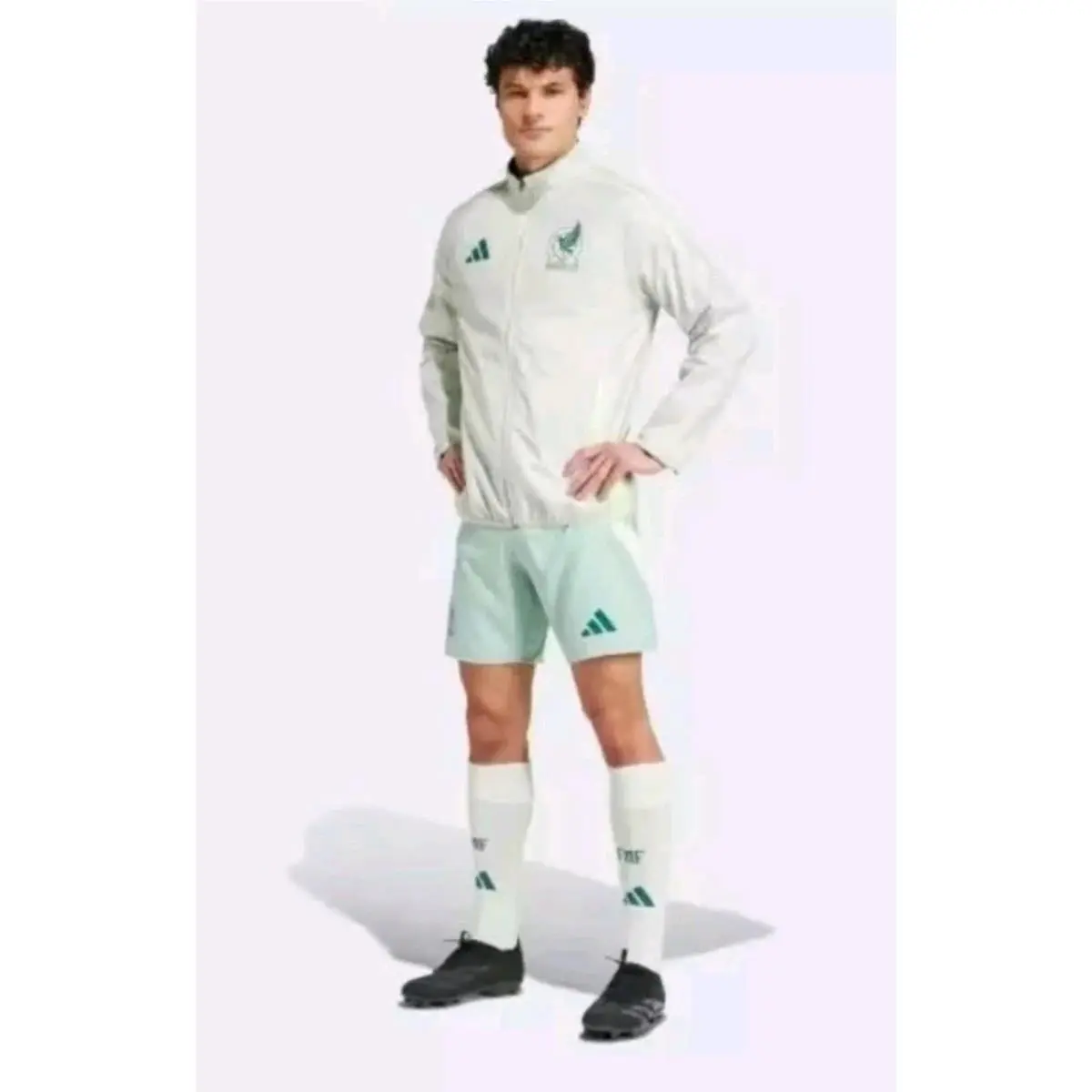 Adidas clothing - IW2922 - IW2922 - Dark Burgundy / Linen Green 7