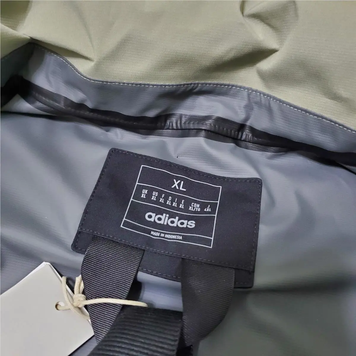Adidas clothing - Myshelter - Myshelter - IP5571 - Green (UPC: 197610746272) 9