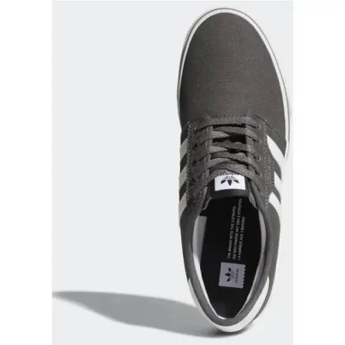 Adidas shoes - adidas Seeley - Seeley - AQ8528 - Gray 1