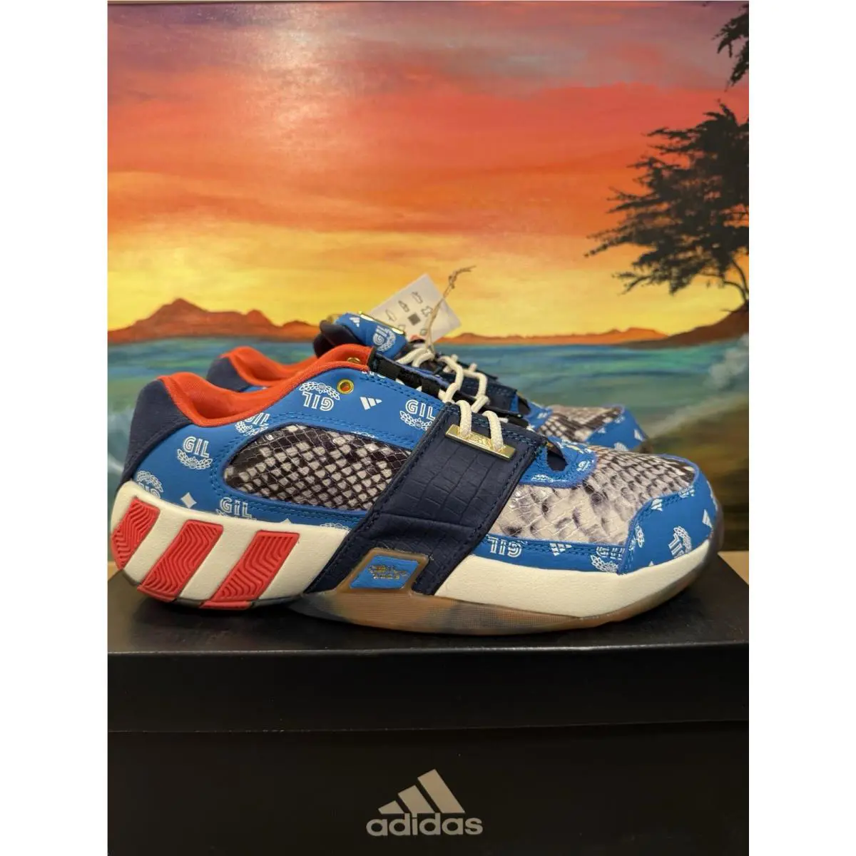 Adidas shoes - adidas Gil Zero - Gil Zero - GY6483 - Blue 0