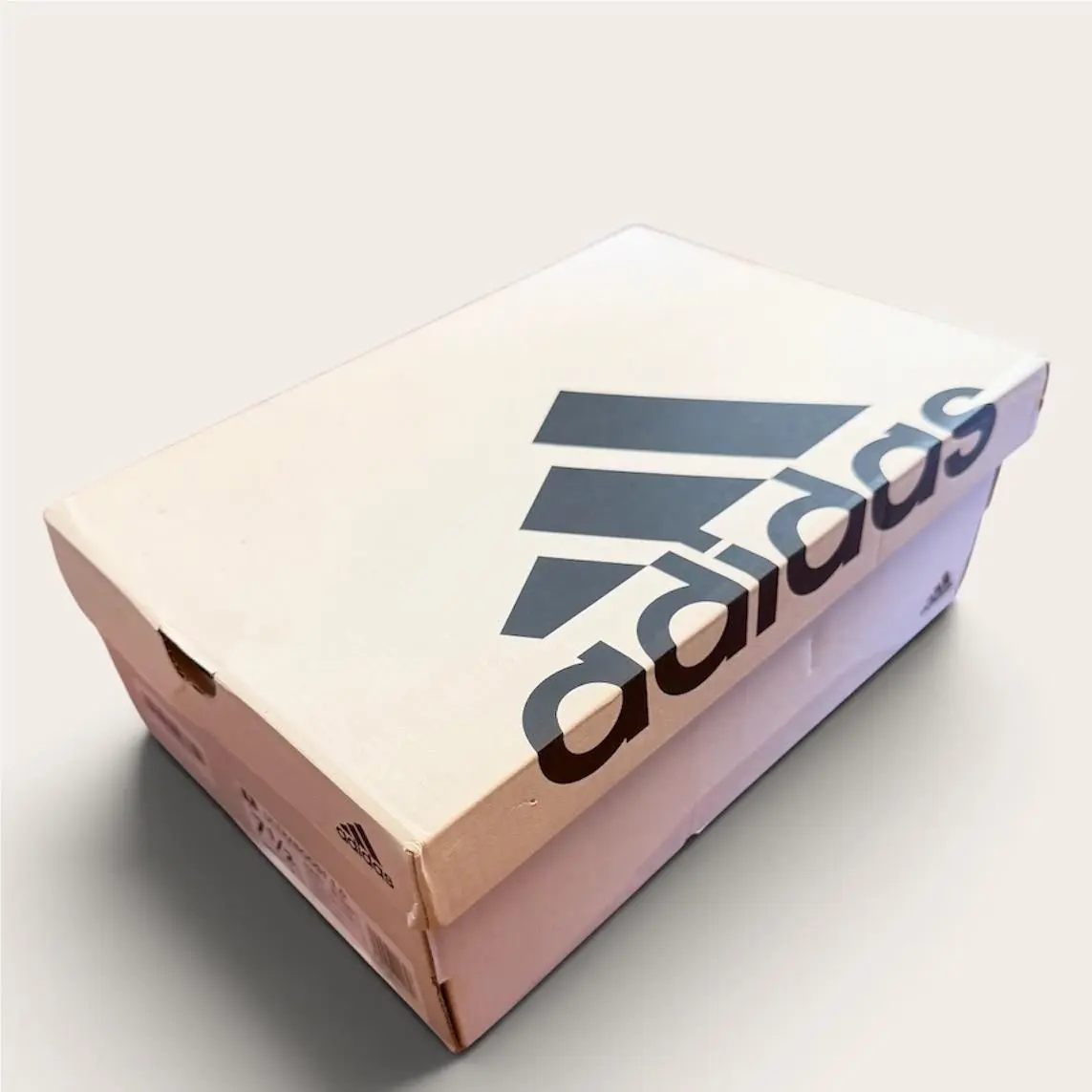Adidas shoes - Ultraboost 1.0 Triple White - Ultraboost Triple White - HQ4202 - White 12