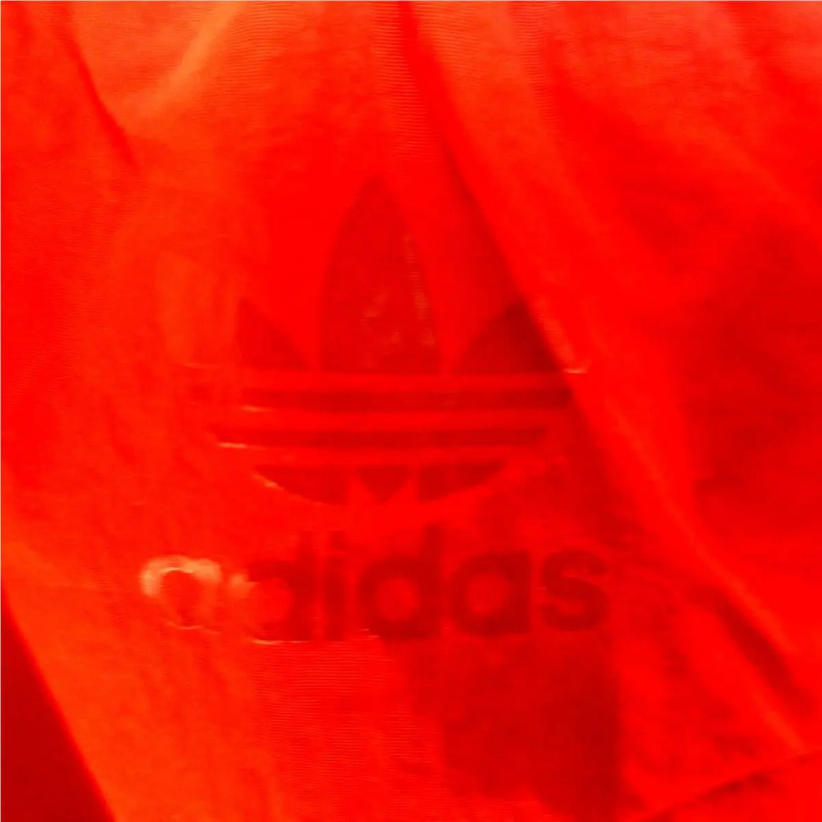 Adidas clothing - Adidas Paolina Russo Pants - Paolina Russo Pants - GF0268 - Multicolor, Manufacturer: Scarlet (UPC: 194815441285) 4