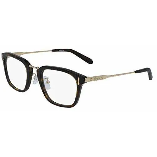Dragon DR 193 Dre 240 Tortoise Gold Eyeglasses 50MM with Case