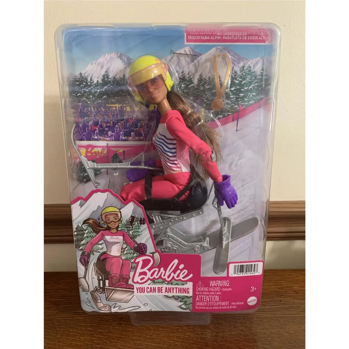 Barbie You Can Be Anything Para Alpine Skier Doll Toy