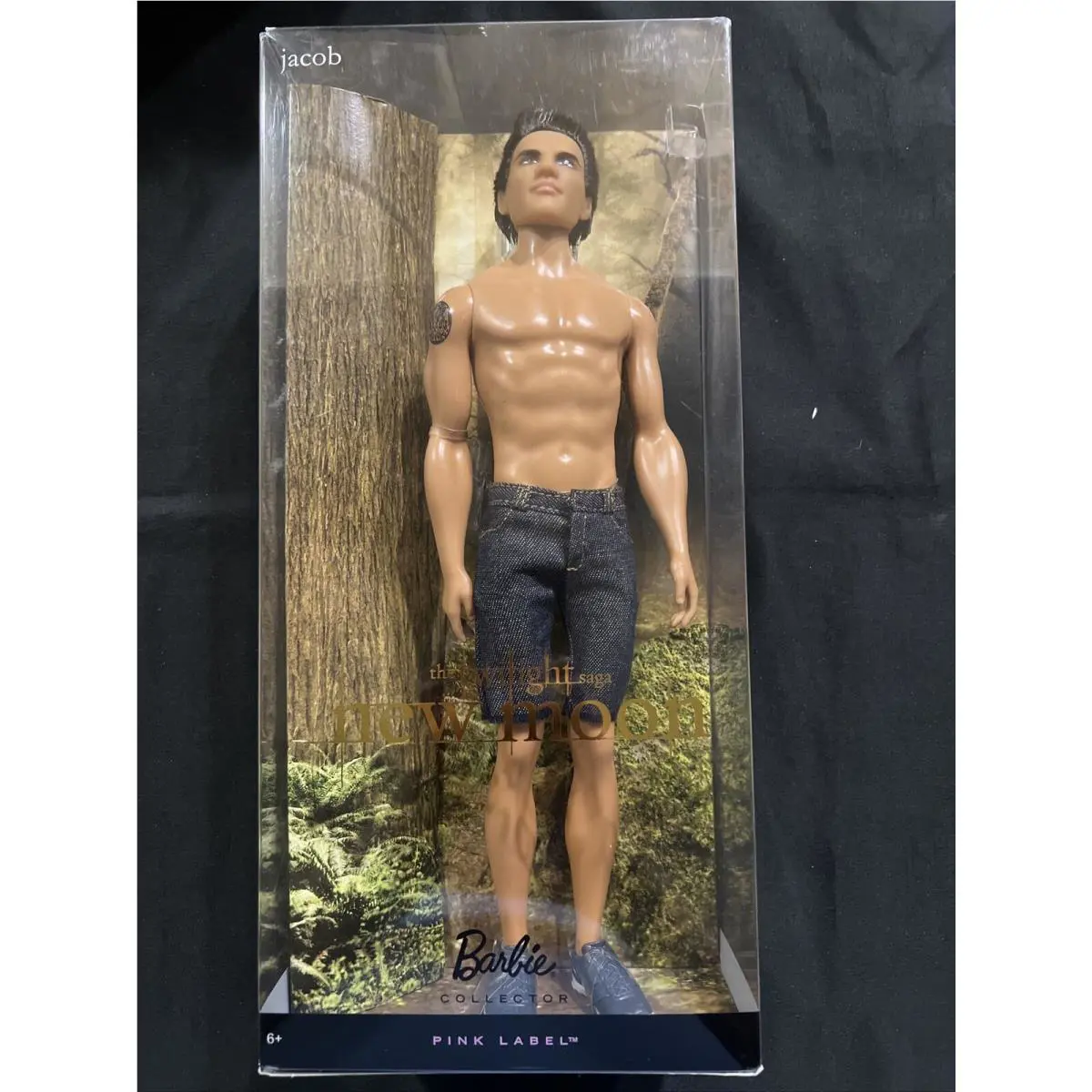Thetwilight Saga: Moon Jacob Doll with Stand Barbie Pink Label Mint