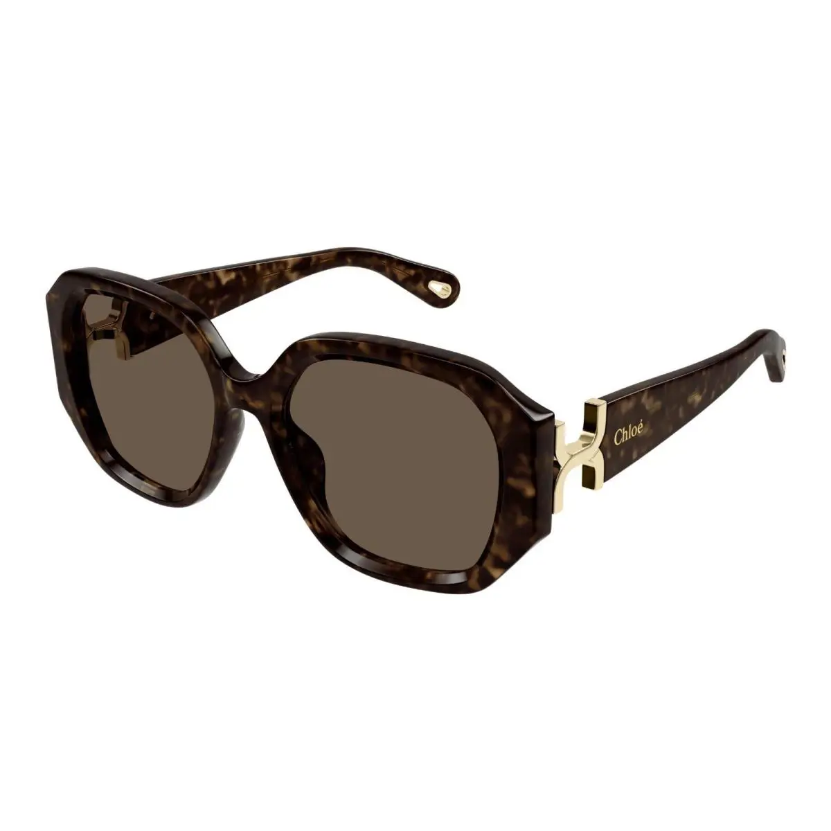 CH0236S Havana/brown 002 Sunglasses by Chloé