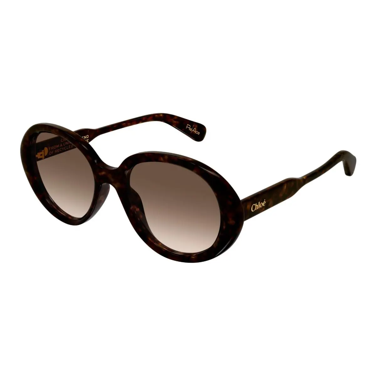 CH0221S Havana/brown Shaded 002 Sunglasses by Chloé