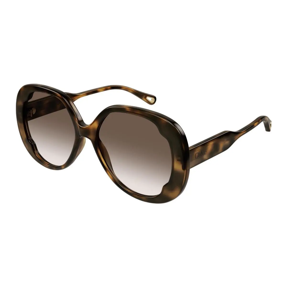 CH0195S Havana/brown Shaded 002 Sunglasses by Chloé