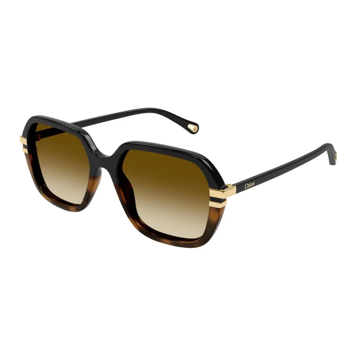 Chloé CH0204S Havana with Gold/brown Shaded 003 Sunglasses