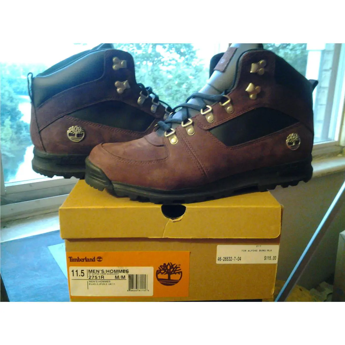 Timberland shoes - Timberland GT Alpine Hiker - Alpine Hiker - 2751R - Black 0