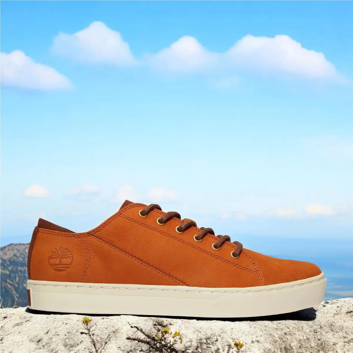 Timberland shoes - Rust Nubuck 5