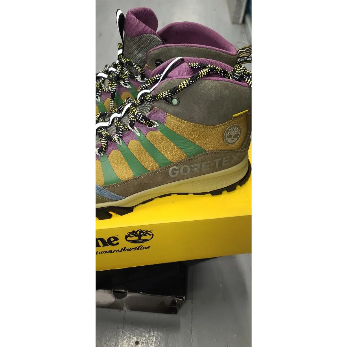 Timberland shoes - TIMBERLAND BEELINE GARRISON - BEELINE GARRISON - Multicolor 0