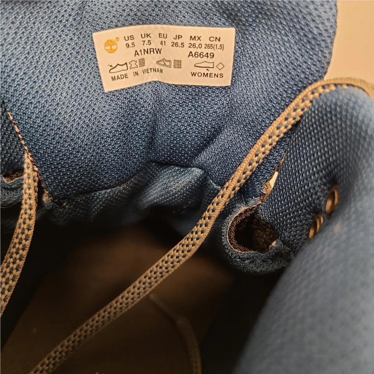 Timberland shoes - Mt Maddsen - Maddsen - Gray (UPC: 191479206618) 7