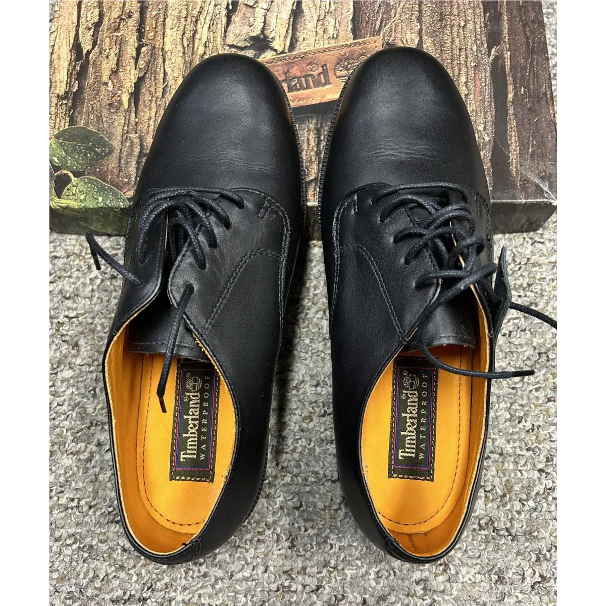 Timberland shoes - M Plaintoe - Plaintoe - Black (UPC: 0761020028619) 0