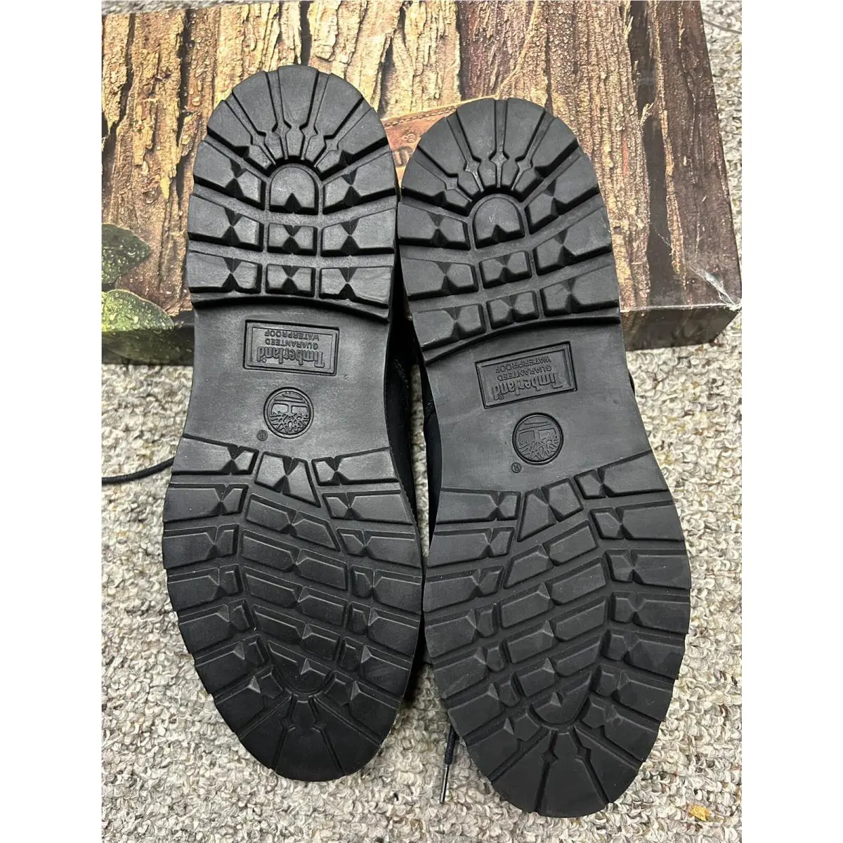 Timberland shoes - M Plaintoe - Plaintoe - Black (UPC: 0761020028619) 5