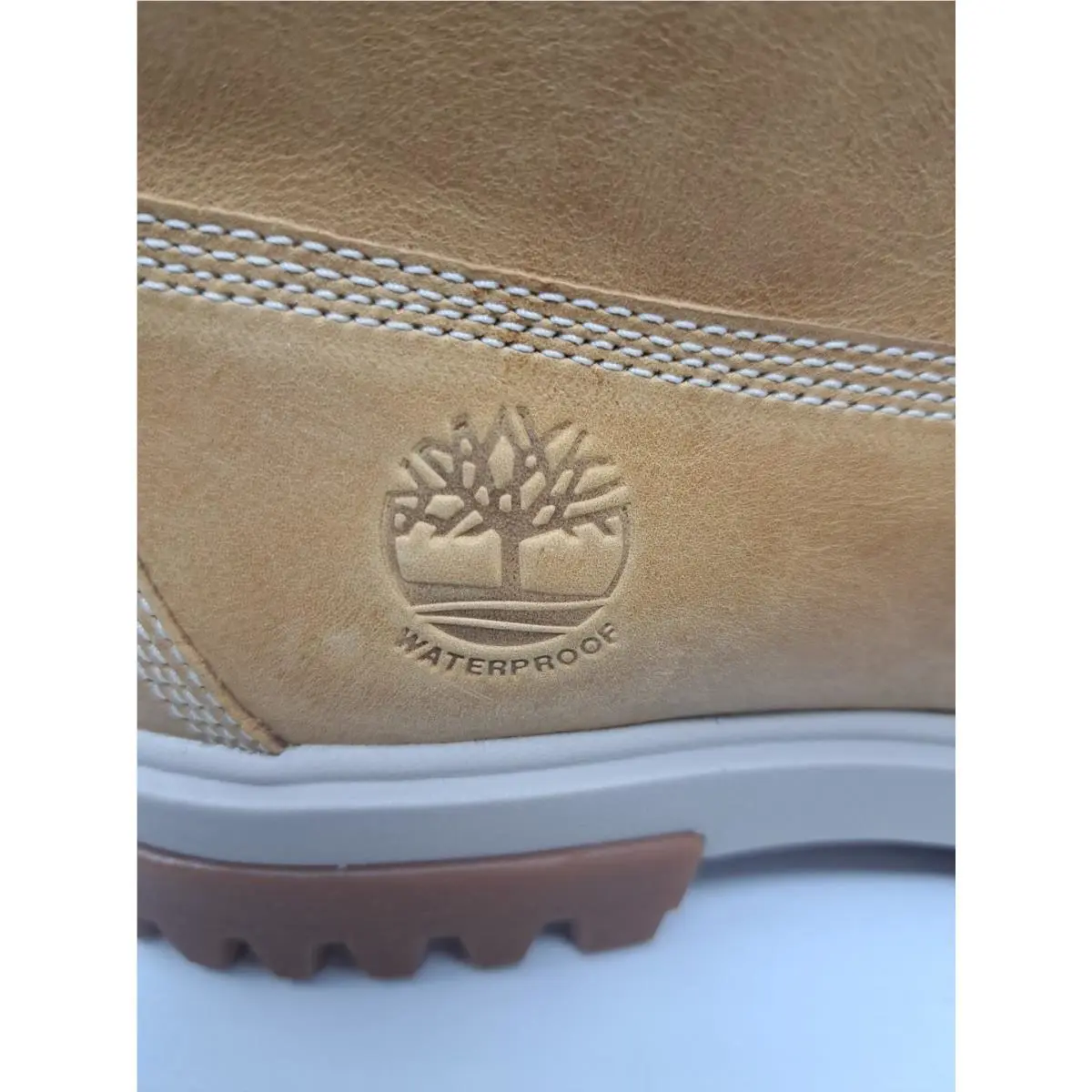 Timberland shoes - Arbor Road 6 - Arbor Road - TB0A5YKD231 - Wheat 9