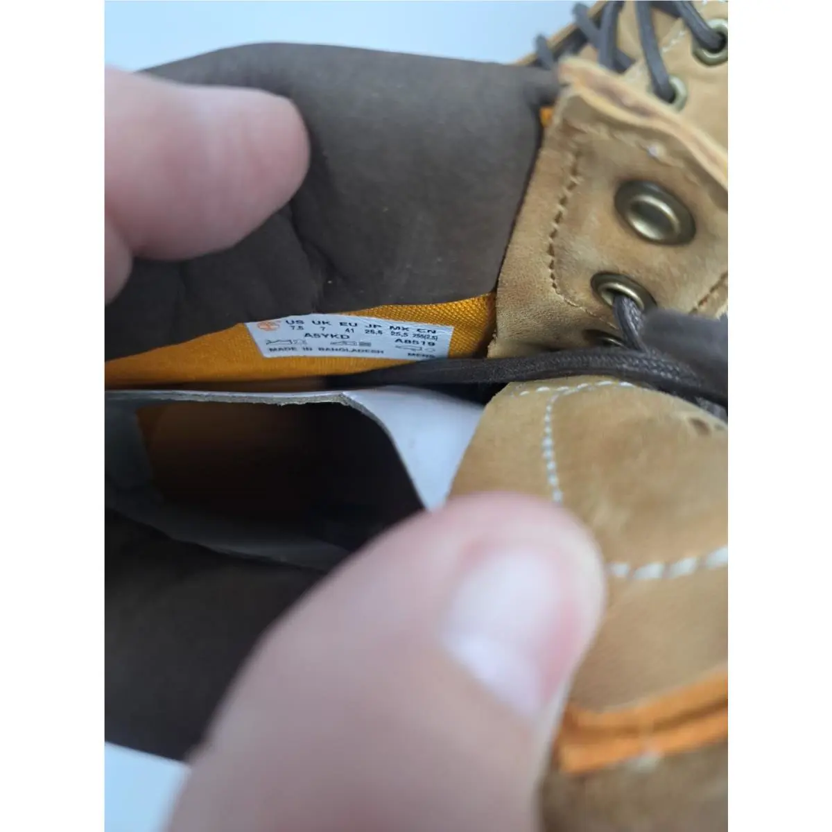Timberland shoes - Arbor Road 6 - Arbor Road - TB0A5YKD231 - Wheat 5