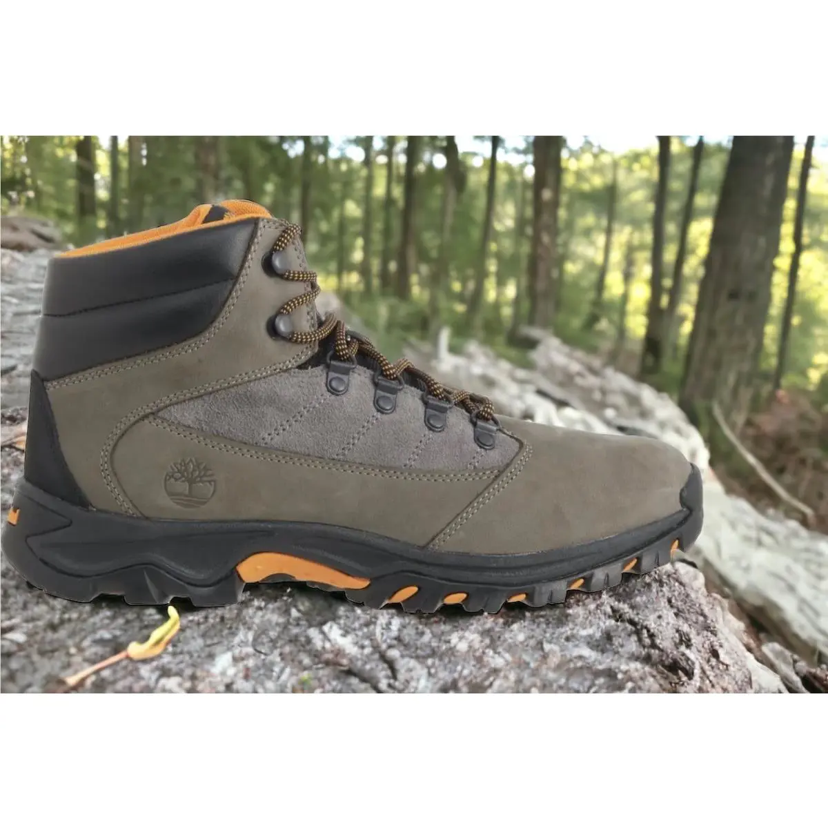 Timberland shoes - Timberland Rangeley Mid Hiker Medium Brown Full Grain - A5RDB - Gray (UPC: 0196246434300) 13