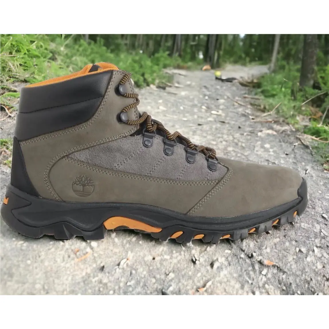Timberland shoes - Timberland Rangeley Mid Hiker Medium Brown Full Grain - A5RDB - Gray (UPC: 0196246434300) 7