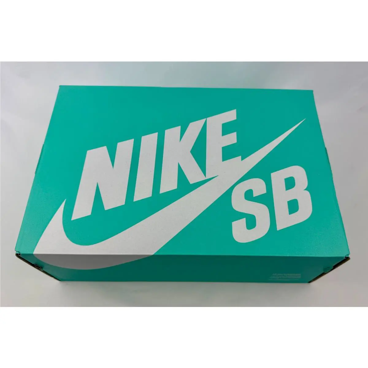 Nike shoes - Nike SB Alleyoop - Alleyoop - White 0