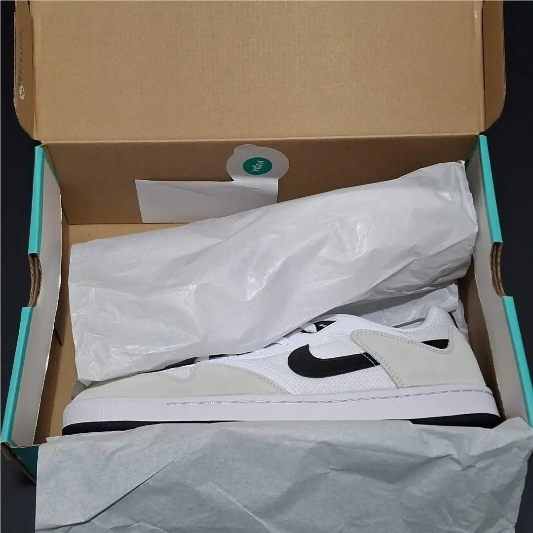 Nike shoes - SB Alleyoop - Alleyoop - CJ0882-100 - White (UPC: 0193154101133) 0