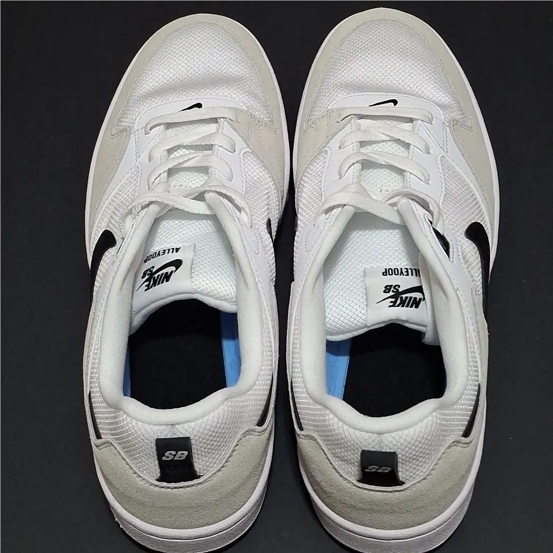 Nike shoes - SB Alleyoop - Alleyoop - CJ0882-100 - White (UPC: 0193154101133) 1