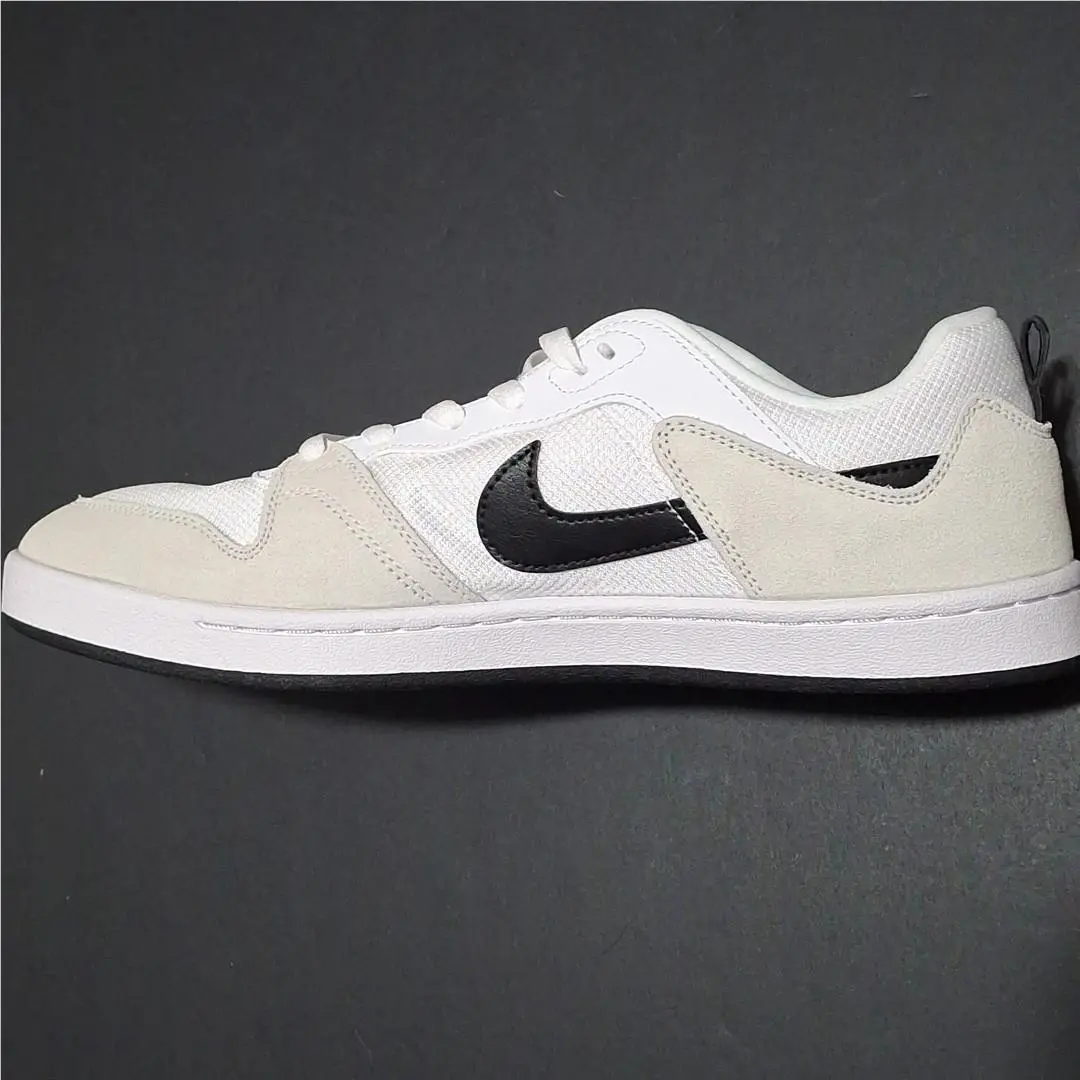 Nike shoes - SB Alleyoop - Alleyoop - CJ0882-100 - White (UPC: 0193154101133) 4