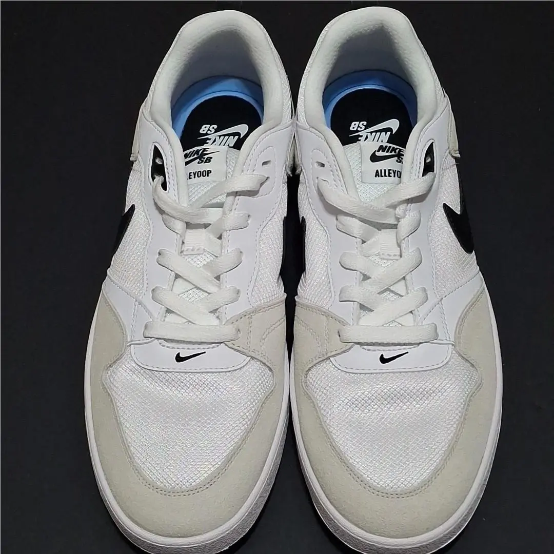 Nike shoes - SB Alleyoop - Alleyoop - CJ0882-100 - White (UPC: 0193154101133) 5