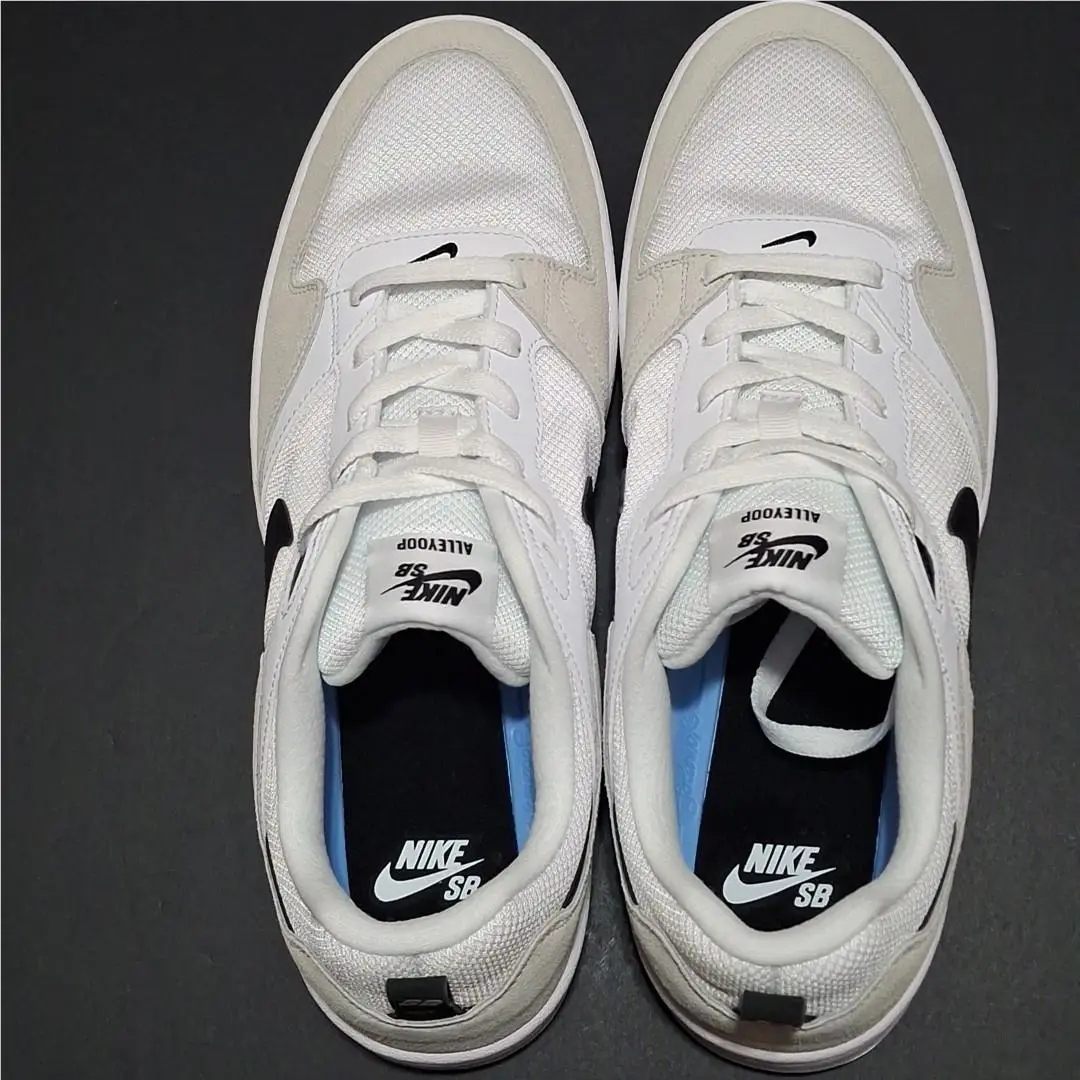 Nike shoes - SB Alleyoop - Alleyoop - CJ0882-100 - White (UPC: 0193154101133) 6