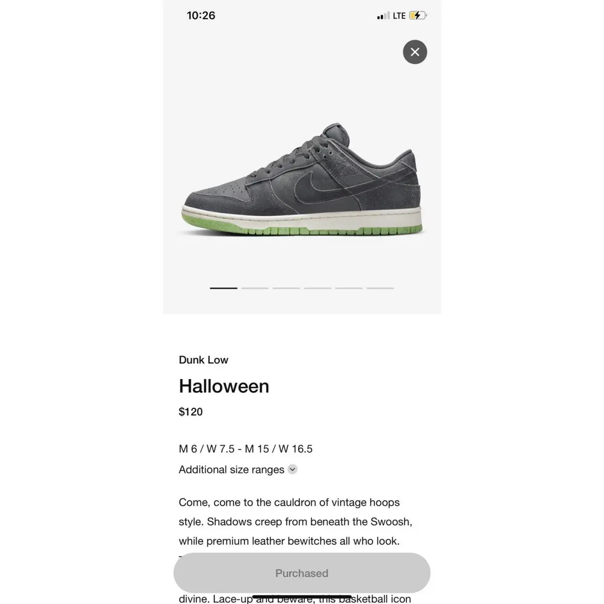 Nike Dunk Low Swoosh Shadow Iron Grey DQ7681-001 Size 8 IN Hand Ready TO Ship
