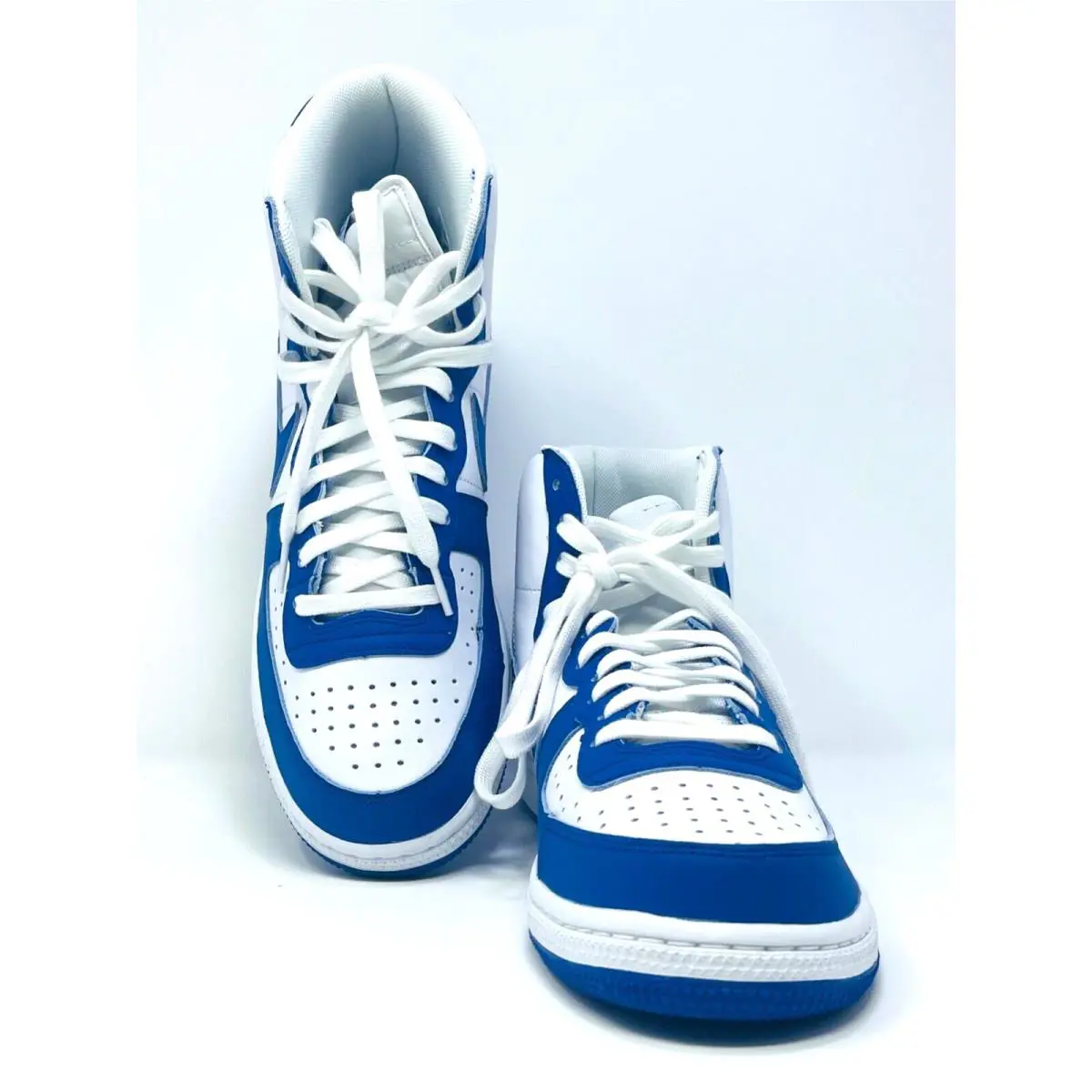 Nike shoes - Nike Terminator - Terminator - FN6836-100 - WHITE BLUE (UPC: 196968080144) 0