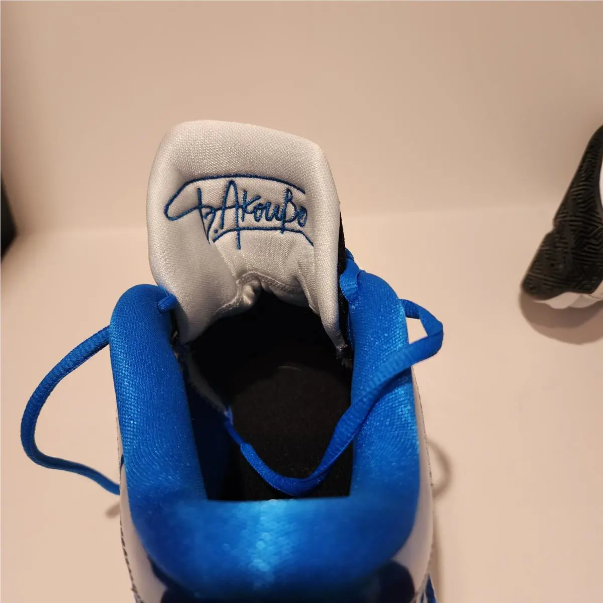 Nike shoes - Nike Zoom Freak - Zoom Freak - Blue,Black,Silver 1