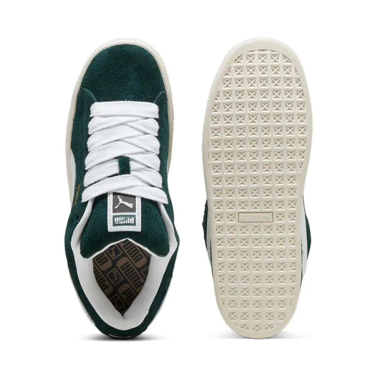 Puma shoes - Ponderose Pine/Frosted Ivory 2