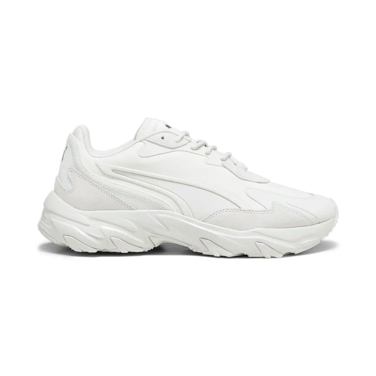Puma shoes - Gray 1