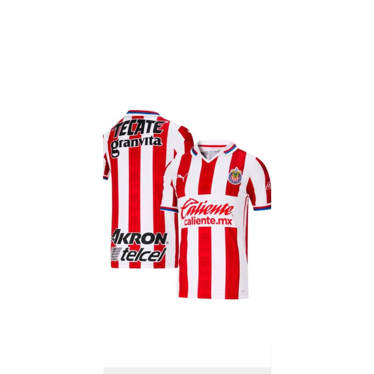 Chivas Guadalajara 2020/21 Puma Dry Cell Match Jersey Mens Medium