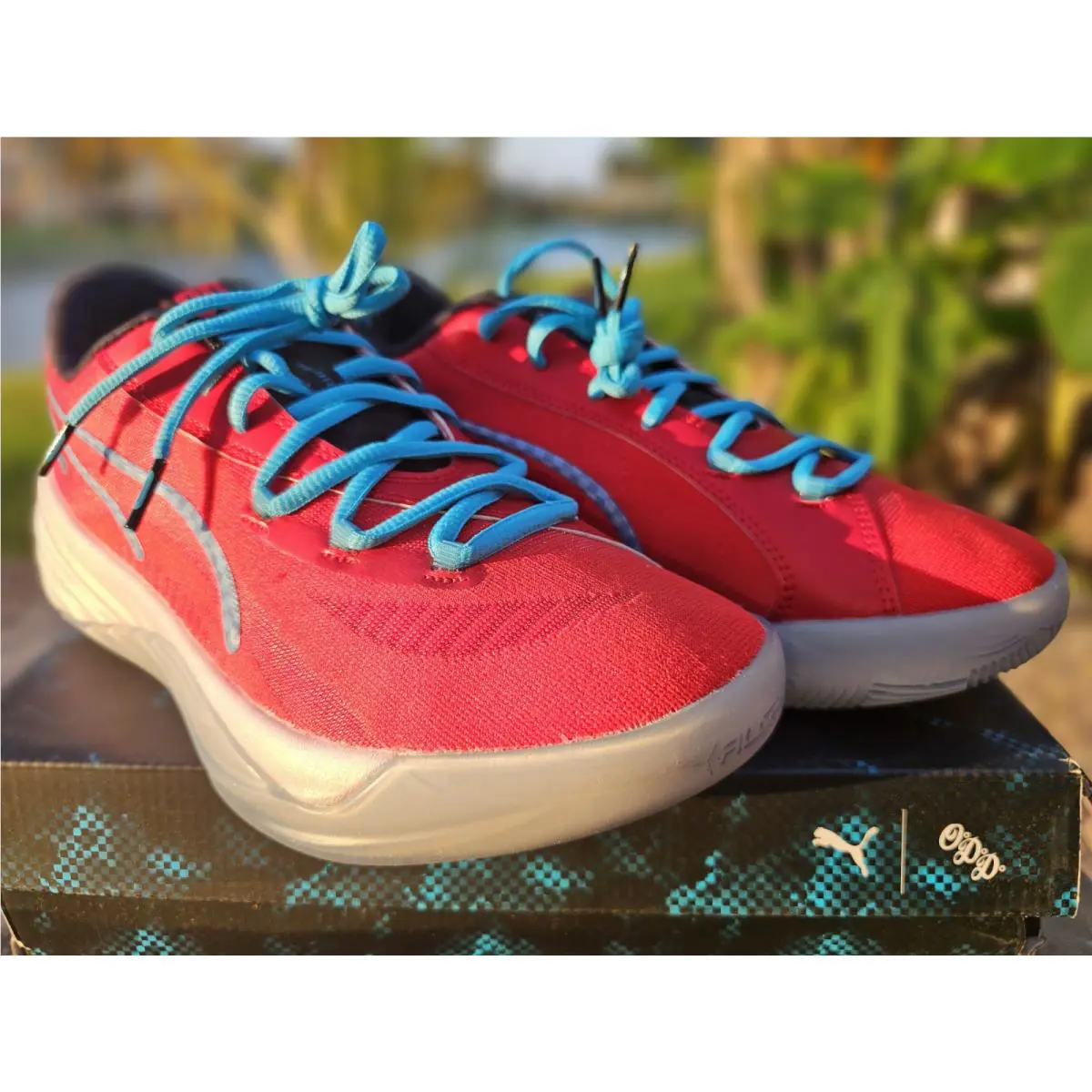 Puma shoes - Puma AllPro Nitro Scoot Basketball - 37930001 - Red 2