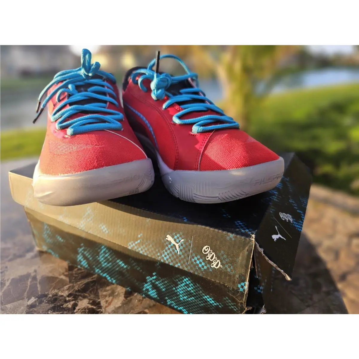 Puma shoes - Puma AllPro Nitro Scoot Basketball - 37930001 - Red 4