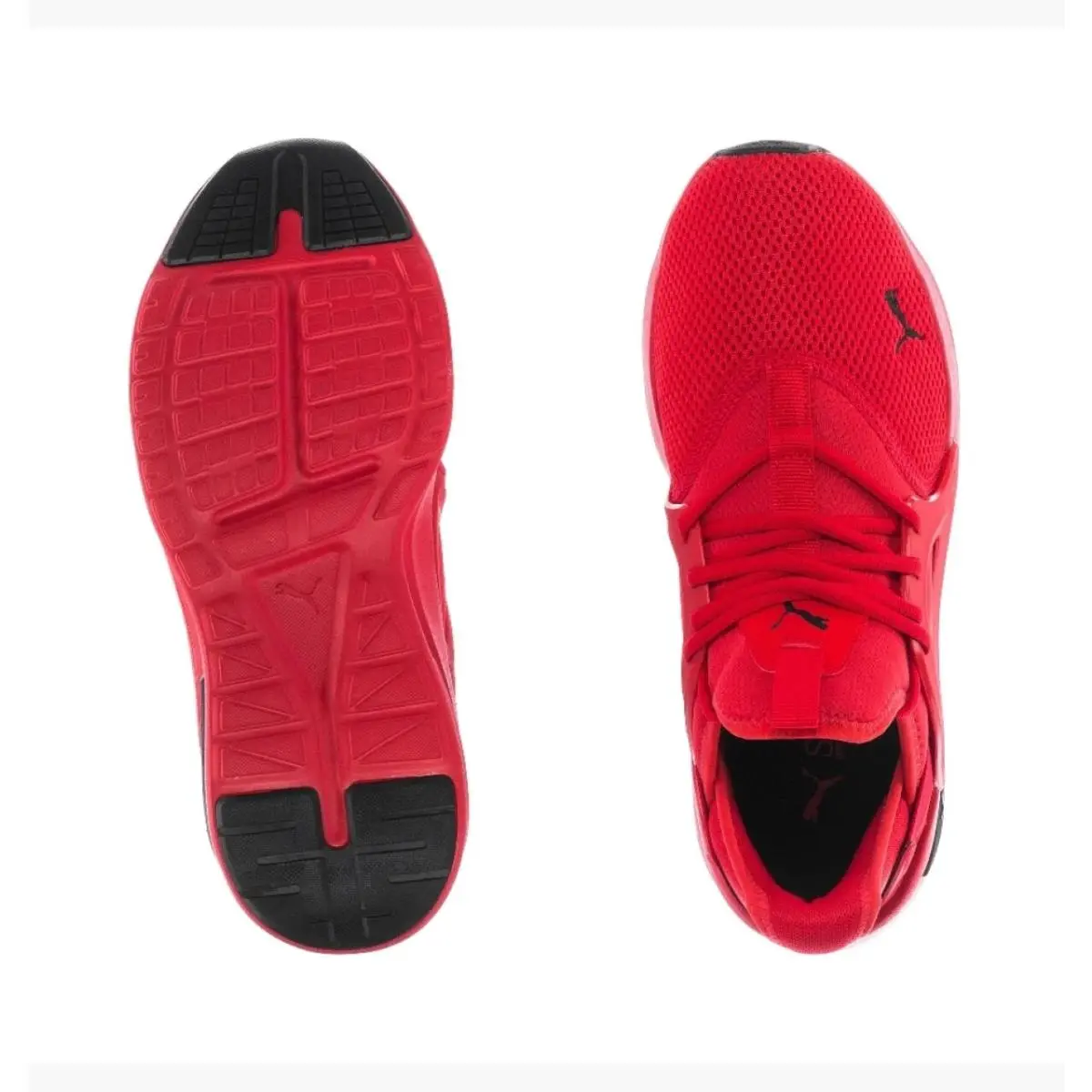 Puma shoes - PUMA Softride - Softride - Red 3