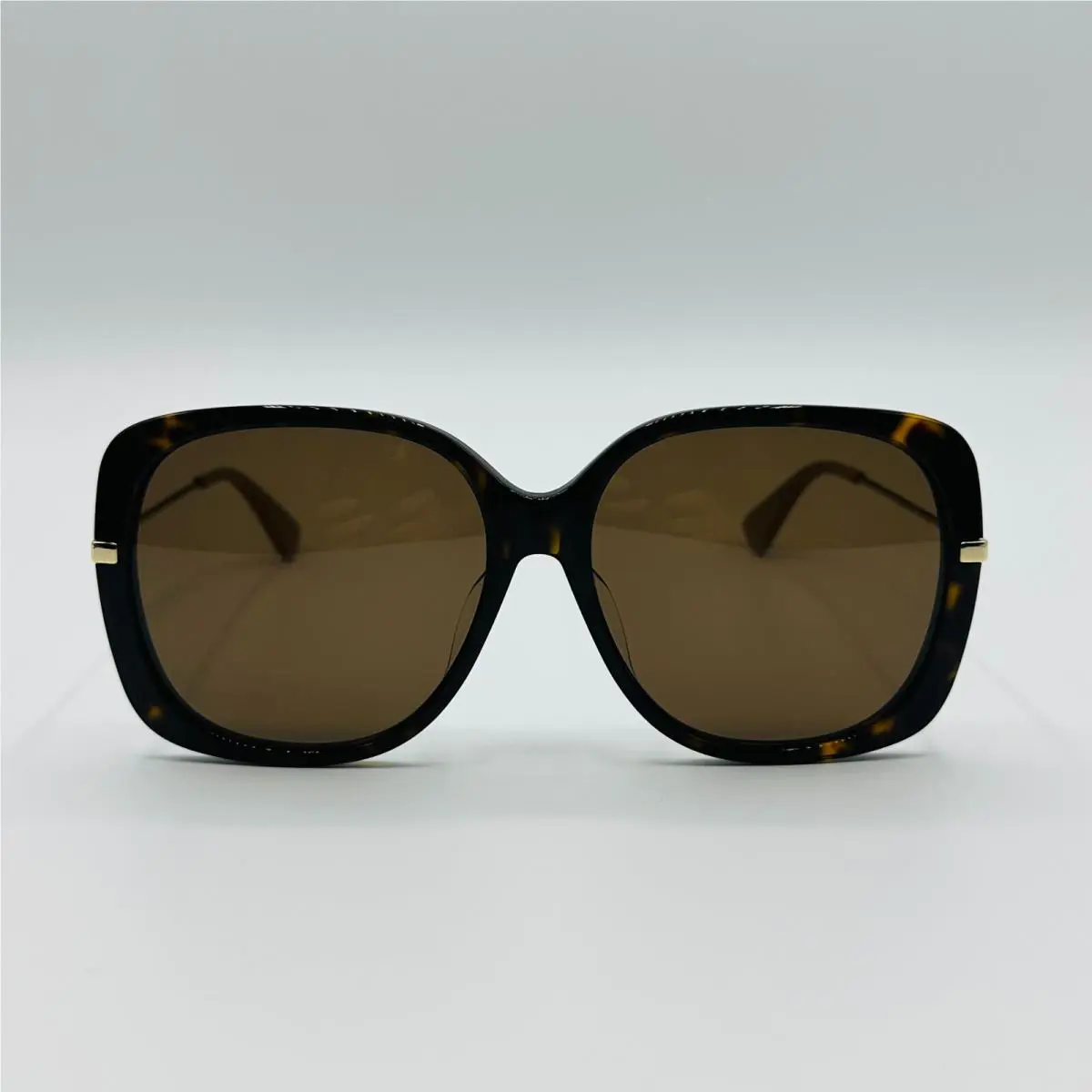 Gucci Women`s Brown Acetate Sunglasses with Logo GG0511SA 573250 2372
