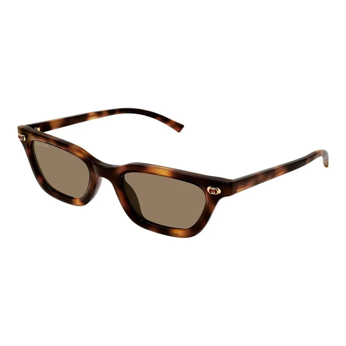 Gucci GG1944S Havana/brown Photochromic 006 Sunglasses