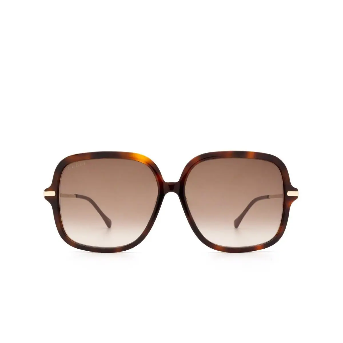 Gucci GG0884SA 002 Women`s Havana Gold Frame /brown Gradient Lens Sunglasses