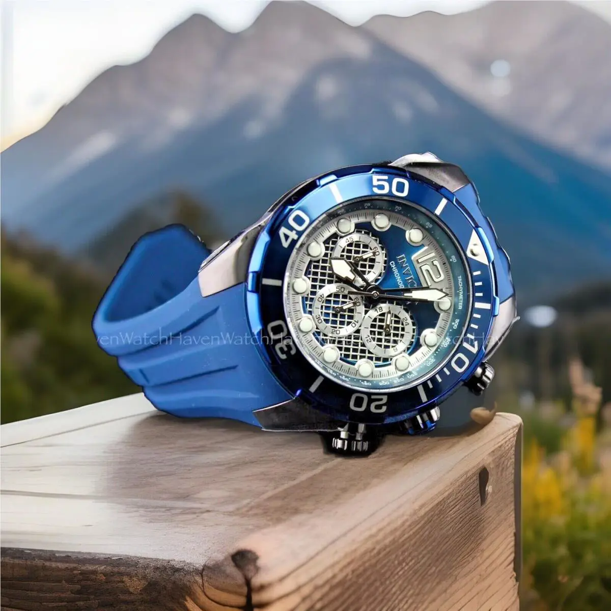 Invicta Pro Diver Cage Dial Blue/black Tone Chronograph 50mm SS Men`s Watch