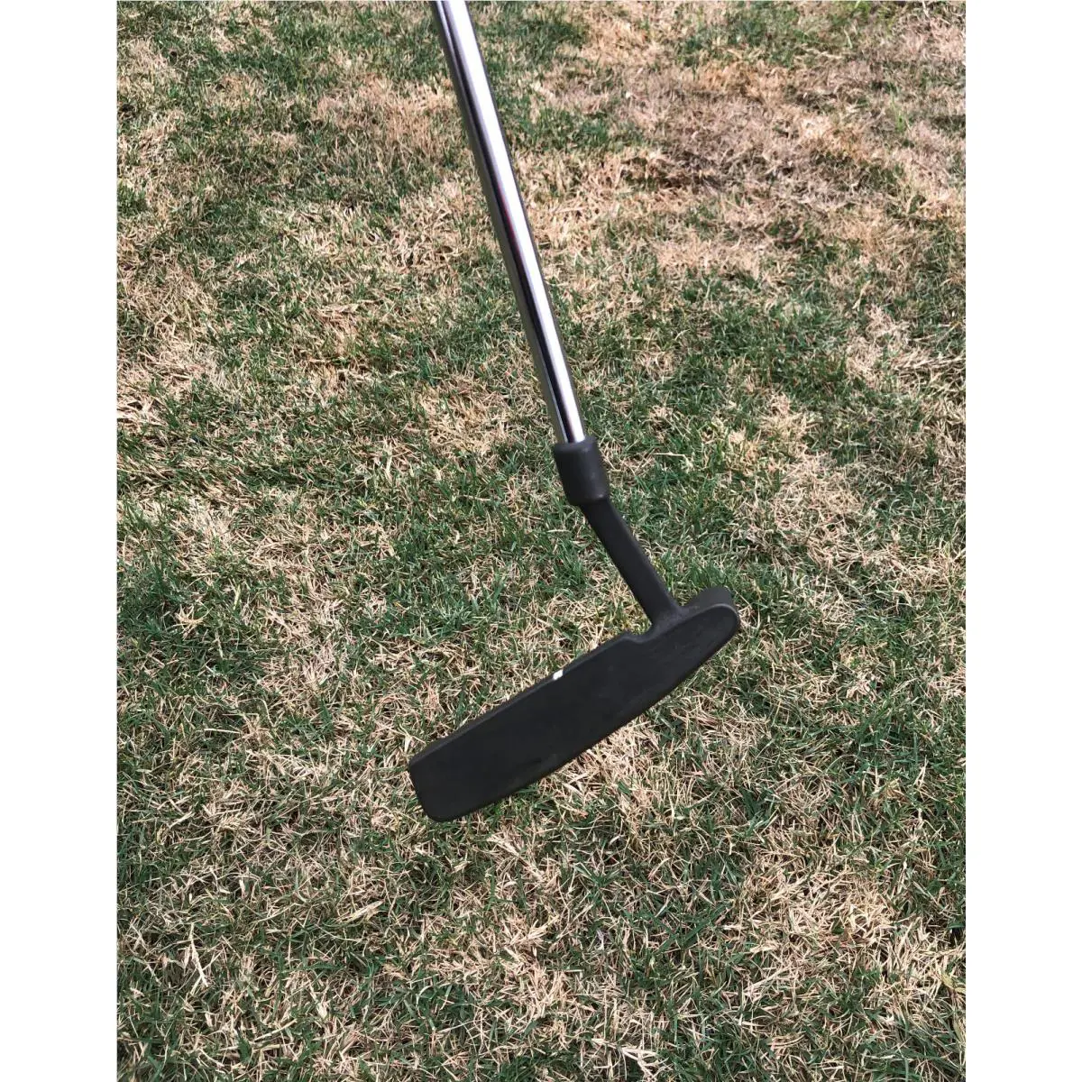 Ping  - PING MY DAY Plumber Neck Putter 1
